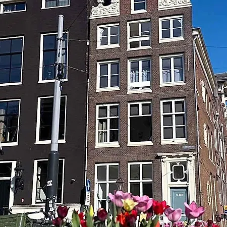 Your A Royalty - Equal Design By Joyjoyjoy - Floor And Views - Creating For The Poor Amsterdam
