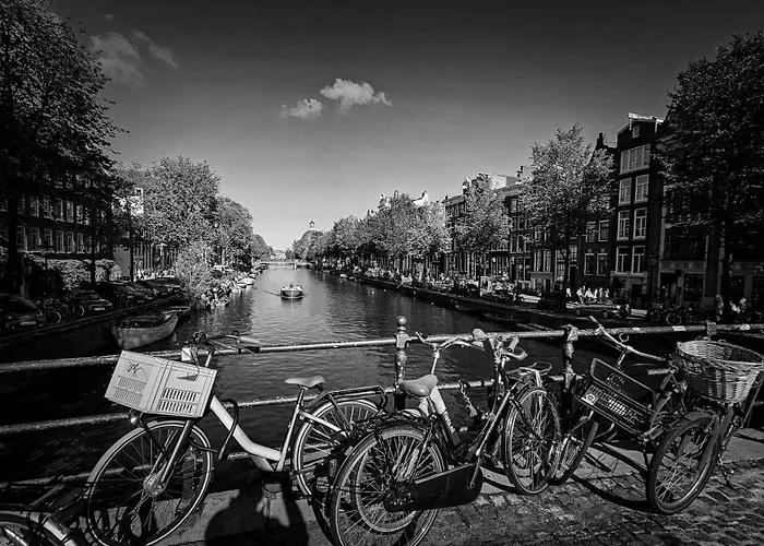 Your A Royalty - Equal Design By Joyjoyjoy - Floor And Views - Creating For The Poor Gæstehus