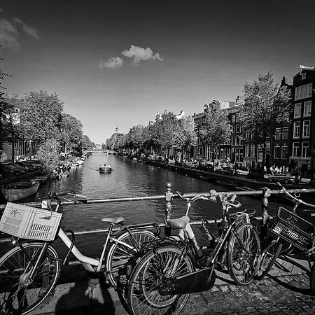 Your A Royalty - Equal Design By Joyjoyjoy - Floor And Views - Creating For The Poor בית הארחה